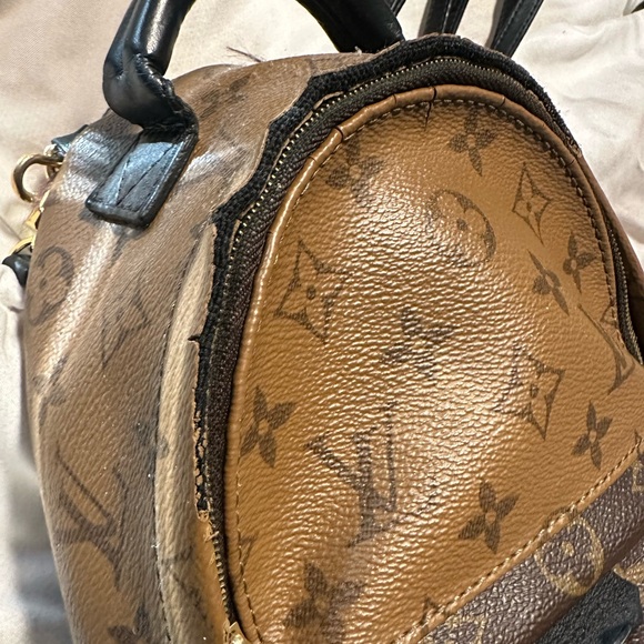 Mini LV Palm Springs Backpack - Picture 4 of 11